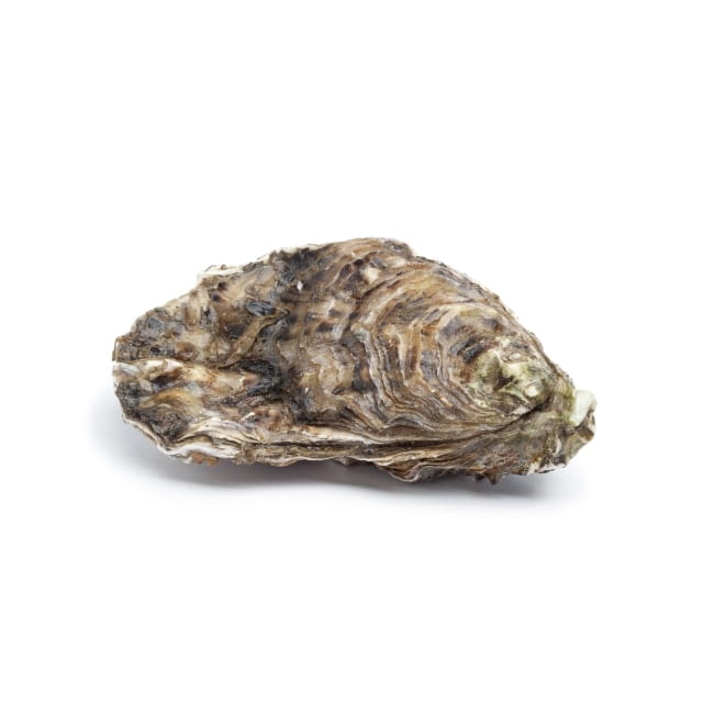 Huitres Ancelin N°3