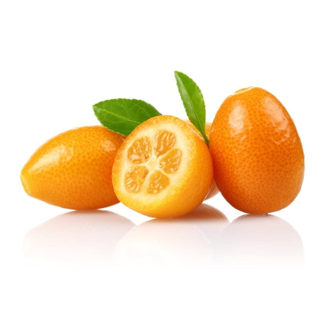 Kumquat