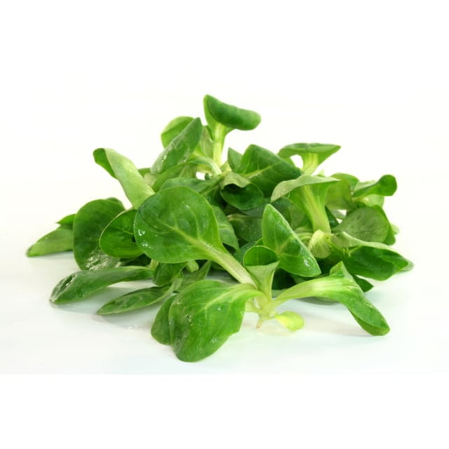 Mache Barquette — prix du jour