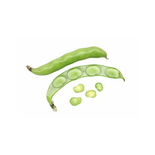 Fava beans