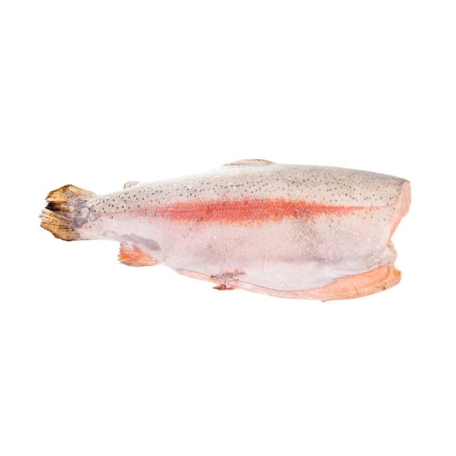 Rainbow trout bone in CAL 16/18Oz