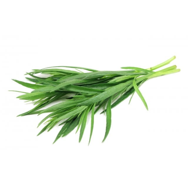Tarragon