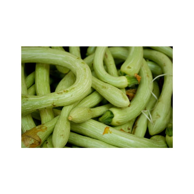 Courgette trombetta