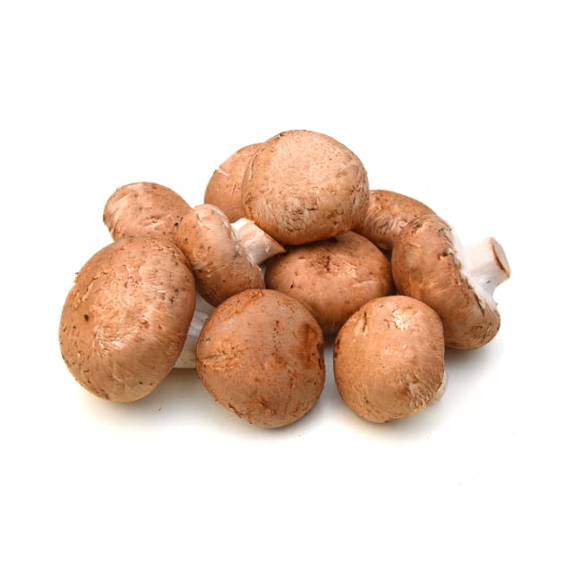 Chestnut mushroom