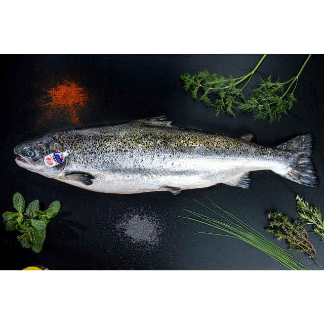 Saumon Ecosse Label rouge 5/6Kg