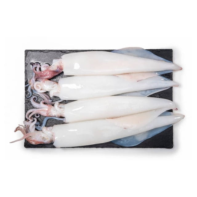 Frozen squid tubes U5