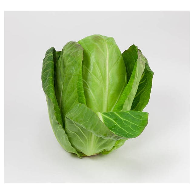 Prepared hispi cabbage