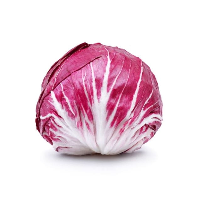 Radicchio / Trévise