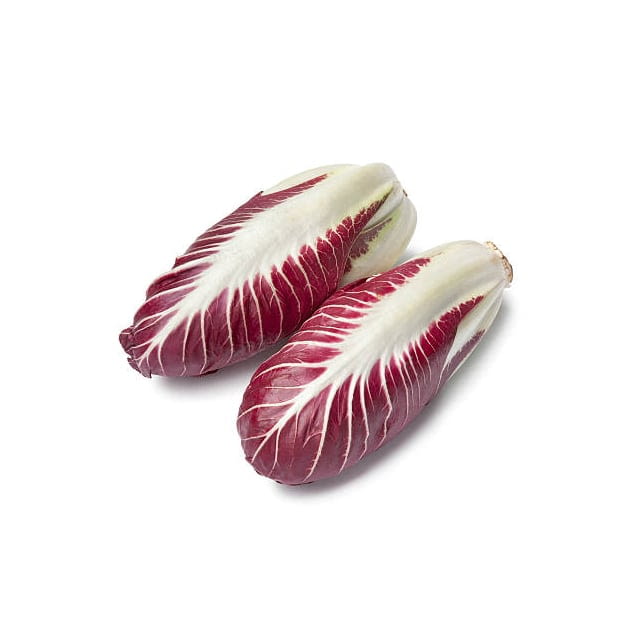 Trevisano radicchio lettuce