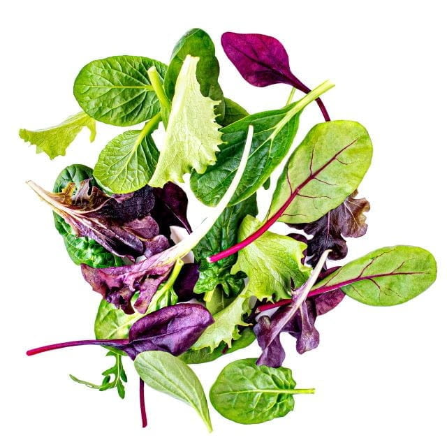 Mixed salad leaves