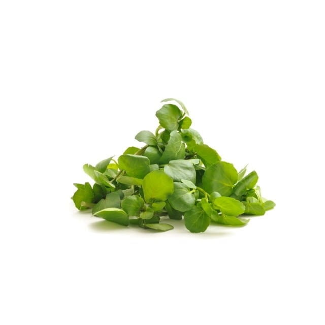 Watercress