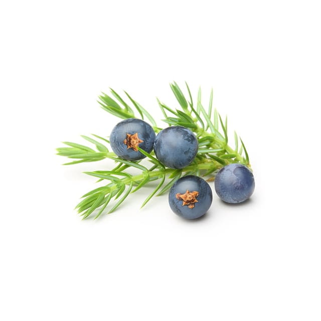 Juniper berries