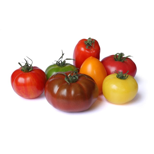 Tomate ancienne mélangée