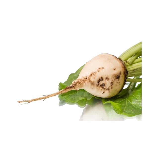 White beetroot