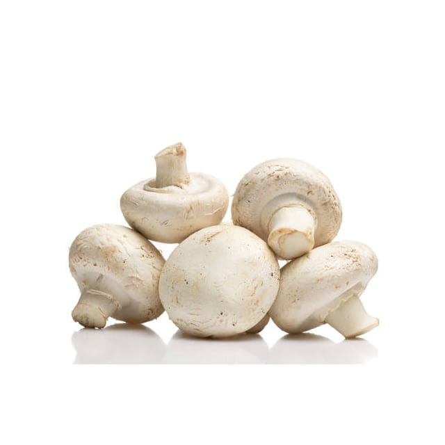Silver dollar mushrooms