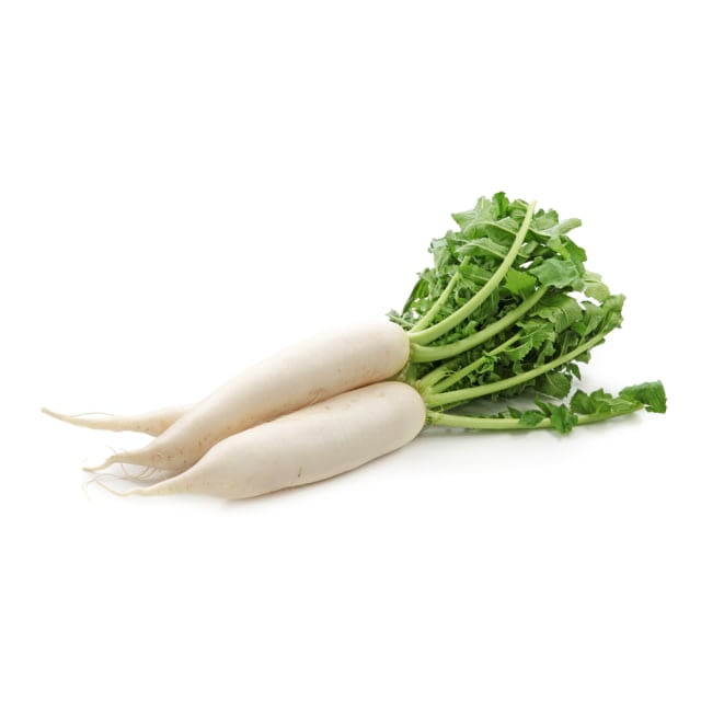 Radish daikon