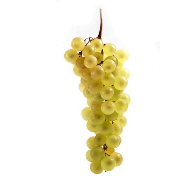 Raisin Chasselas