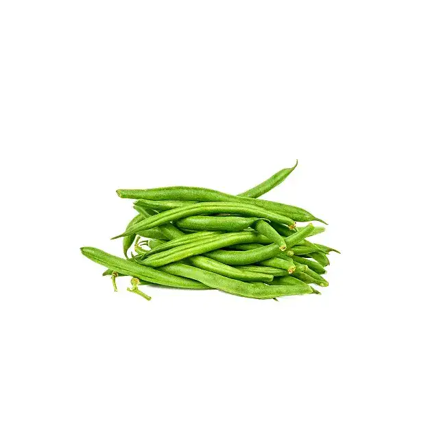 Haricot vert extra fin