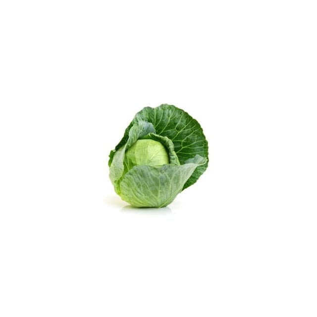 Cabbage