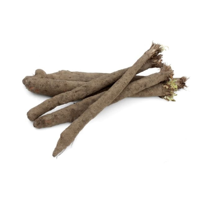 Salsifi Scorsonere Francais — prix du jour