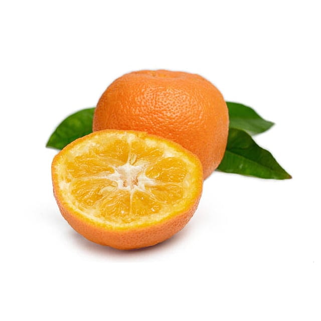 seville orange sour orange