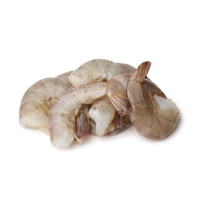 White shrimp shell on 8/12