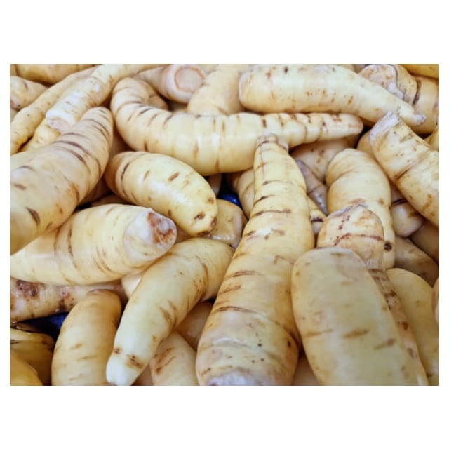 Arrowroot