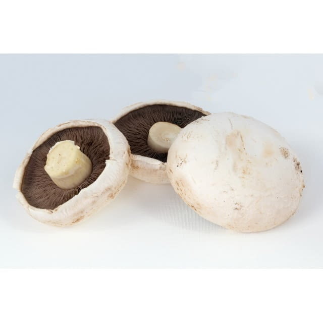 Flat mushroom