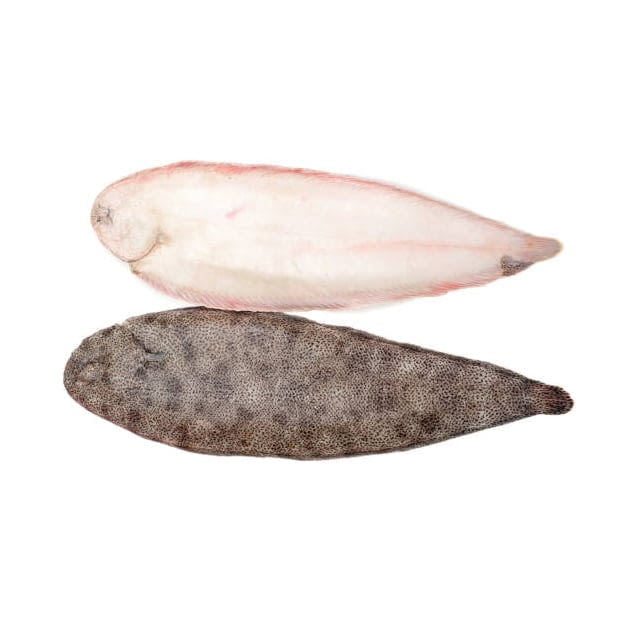 Frozen dover sole CAL 16/20 Oz
