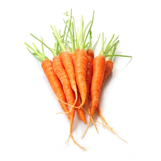Mini carotte orange