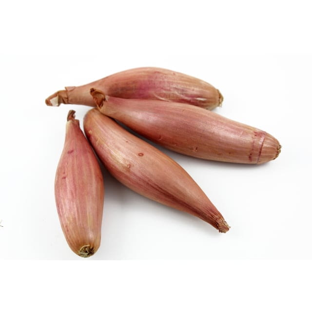 Echalote cuisse de dinde CAT Extra