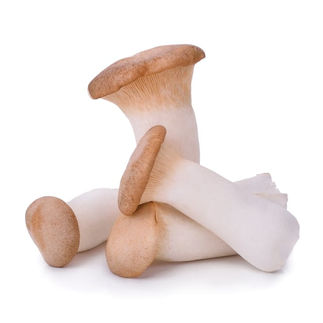 Royal trumpet mushroom King oyster