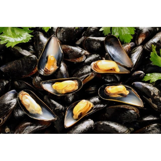 Mussels