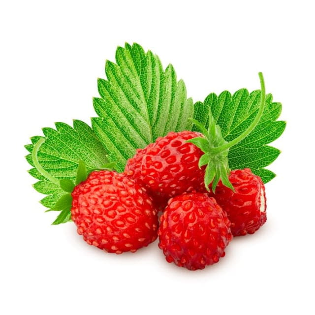 Fraise de bois CAT 1