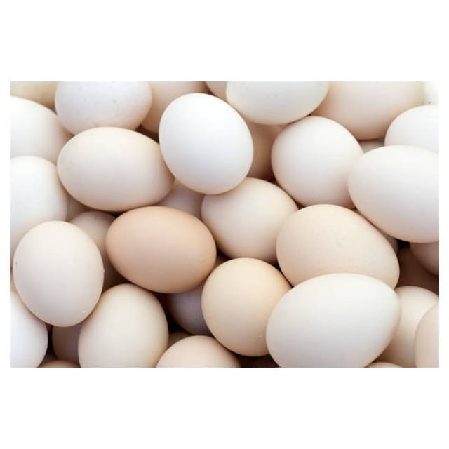 Organic eggs Organic fresh