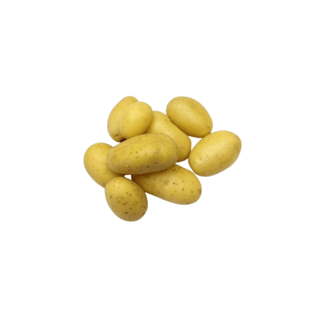 Pomme de terre agria lavée GT — cours et prix