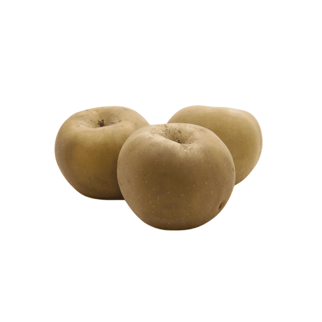 Pomme Canada grise CAL 241/270 Local HVE