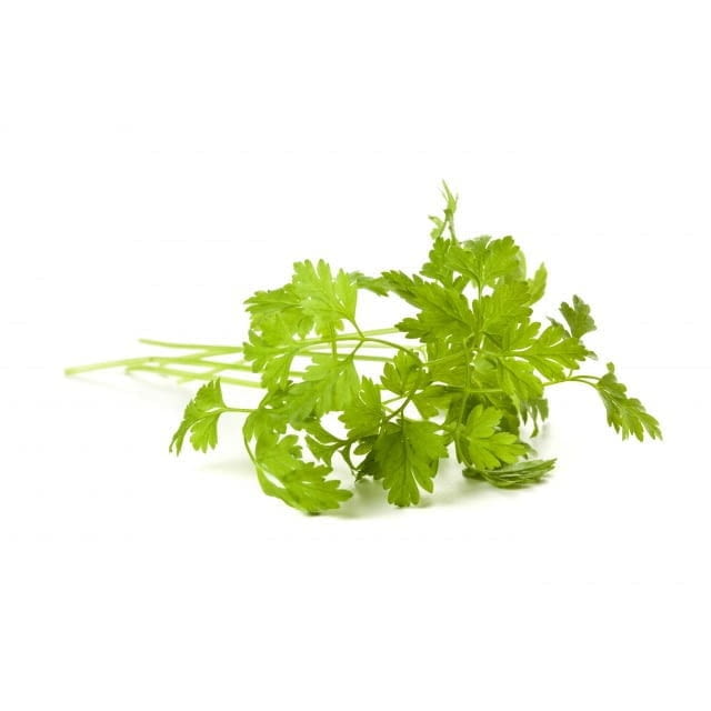 Chervil