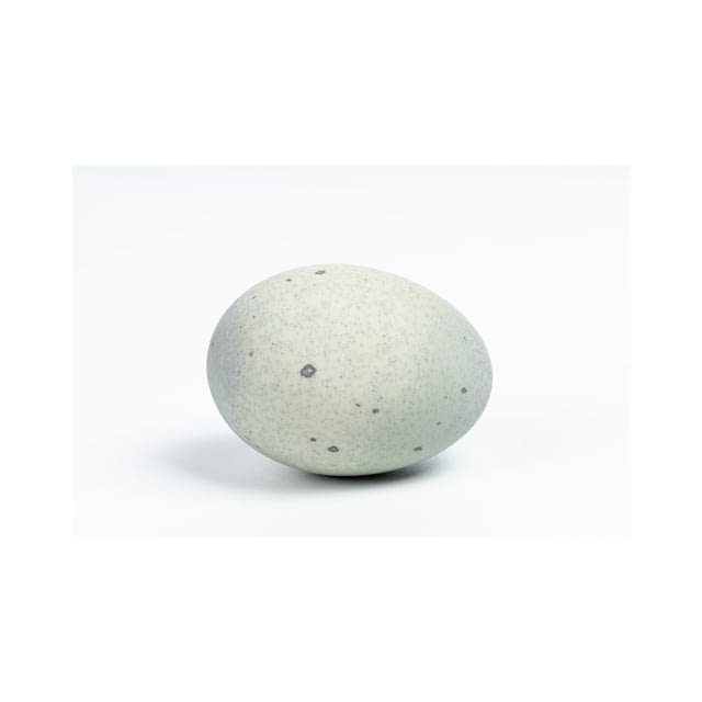 Duck eggs Clarence court