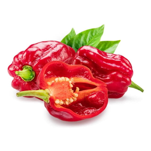 Habanero red pepper