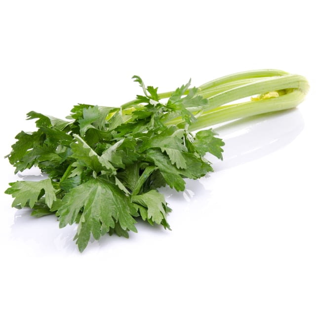 Céleri branche
