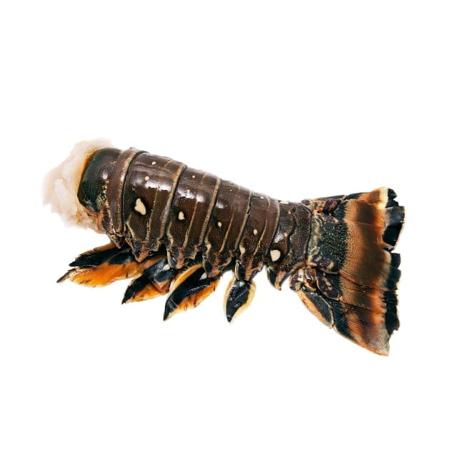 Queues d'écrevisses en saumure