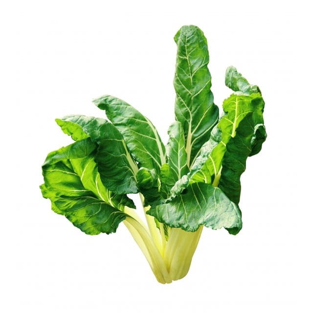 Swiss chard