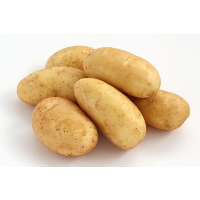 Pomme de terre samba