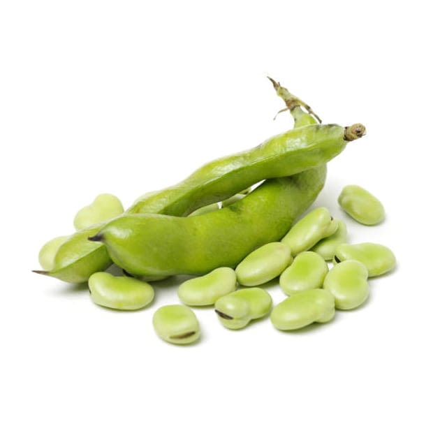 Fève — cours et prix