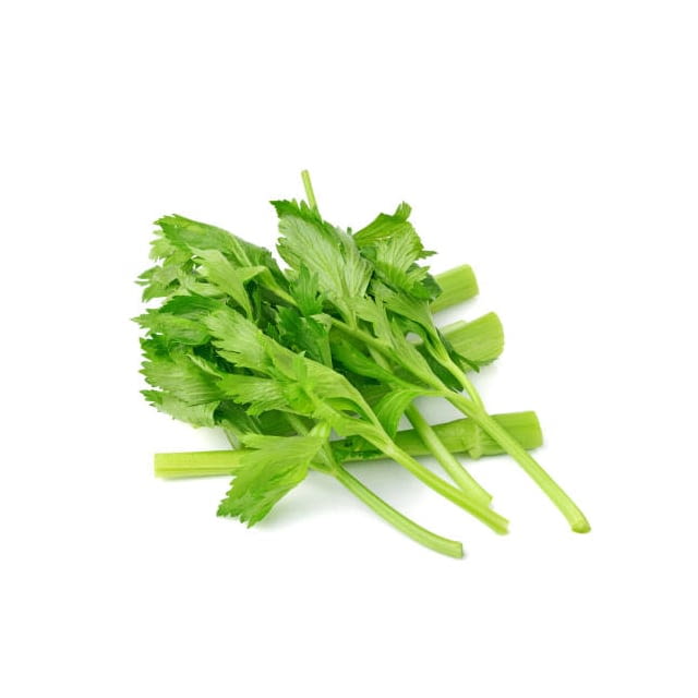 Leafy celery
