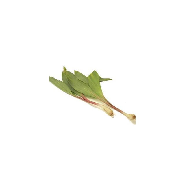 Ramps