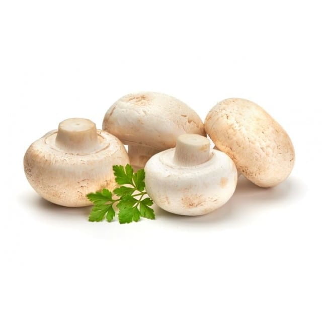 Mushroom cup