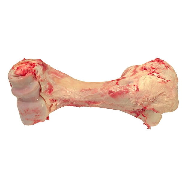 Beef bones