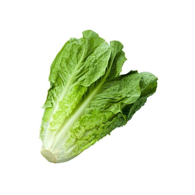Lettuce romaine